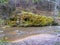 Image of a steep river and mossy coastline, the texture of the water gives the feeling of something soft