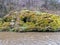 Image of a steep river and mossy coastline, the texture of the water gives the feeling of something soft