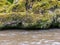 Image of a steep river and mossy coastline, the texture of the water gives the feeling of something soft