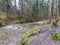 Image of a steep river and mossy coastline, the texture of the water gives the feeling of something soft