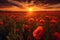 An image of a stunning sunset over a field of poppies, creating a warm and serene atmosphere. Generative AI