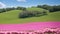 An Image Of A Stunningly Panoramic View Of A Field Of Flowers AI Generative