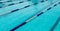 Image of swimming pool. The top view. Swimming pool with empty lanes