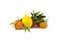 Image tangerines and lemons