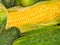 Image tasty ripe corn, and cucumbers close-up