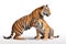 Image of tiger mother and baby tiger on a white background. Wild animal. illustration, generative AI