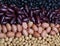 Image top view of soybean, red kidney bean, black bean, green bean, red bean and Peanut beans