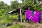 Image of town in Peruvian forest jungle. Amazon scene of domestic day.