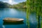 image of tranquility, boat, tree, sun, mountain river Douro, located in Mazouco, belonging to ash tree with a sword