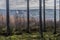 Image of tree trunks with moss on the ground, dry scrub and an industrial complex background