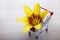 Image of trolley flower wooden desk