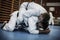 Image of two young men training judo.