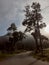 Image of uknown person walking in the misty morning