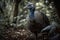 Image of a vulture guineafowl in the wild on nature background. Wildlife Animals. Birds. Illustration, generative AI