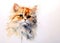 Image of watercolor painting of persian cat head on a clean background. Pet. Animals.