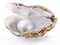 Image of a white pearl in a shell on a white