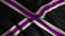 Image of white and purple cross on a black background on the flag. Attributes of power