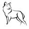 Image of a wolf, vector illustration, tattoo, outline image