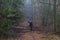 Image of a woman asking if she can follow a path that is obstructed by fallen tree trunks