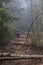 Image of a woman going through the trunks of fallen trees that are blocking the way