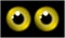 Image of yellow pupil of the eye, eye ball, iris eye. Realistic vector illustration isolated on black background.