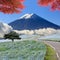 Imageing of Mountain, Tree and Nemophila at Hitachi Seaside Park