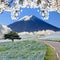 Imageing of Mountain, Tree and Nemophila at Hitachi Seaside Park