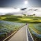 Imageing of Mountain, Tree and Nemophila at Hitachi Seaside Park