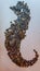 Imagen de caballito de mar formada con piedrasImage of seahorse formed with stones