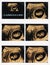 Images of 11 weeks pregnant show baby or fetus development and pregnancy