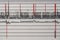 Images charts scientific cardiograms of cardiorespiratory sleep monitoring. Heart pulse or Heart wave, graph on paper. Medical