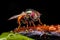 Images created from AI, Macro close-up of an insect, housefly