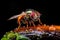 Images created from AI, Macro close-up of an insect, housefly,