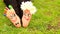 Images of lovely groom and bride just married painted in bright colors on feet of child outdoor. Thinking outside the