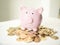 Images of pink piggy bank on lots golden coins  for planning to grow and save money, Saving money for future and retirement fund