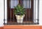 Images for Traditional style window of southern Spain, potted Agave plant and wrought iron fence