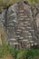 Images of whales chiseled into rocks, Qaqortoq Greenland