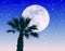 Imaginary landscape with giant full moon and palm tree under a heavy snowstorm