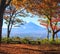 Imaging of Mt. Fuji autumn with red maple leaves Japan