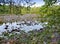 Imatra. Dry Riverbed of Vuoksa River