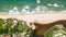Imbassai Beach, Bahia. Aerial view