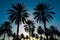 Img Palm trees sunset golden blue sky, tranquil tropical scenery