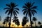 Img Palm trees sunset golden blue sky, tranquil tropical scenery