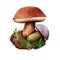 Imleria badia bay bolete, is an edible, pored mushroom found in Europe and North America isolated on white. Digital art