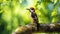 Immaculate Perfectionism: Vibrant Woodpecker On Wood Branch