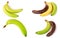 Immature, mature and overripe bananas on white background. Set or collection
