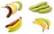 Immature, mature and overripe bananas on white background. Set o