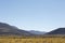 immense desert, Landscapes of the Atacama Desert, Chile, Vicuna grazing