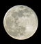 Immense moon during the full moon-phase and the lunar craters cl