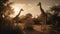 Immerse yourself in the rhythmic symphony of multiple giraffes as they gracefully navigate the vast savannah, their presence a